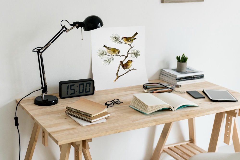 Search engine optimization and advertising